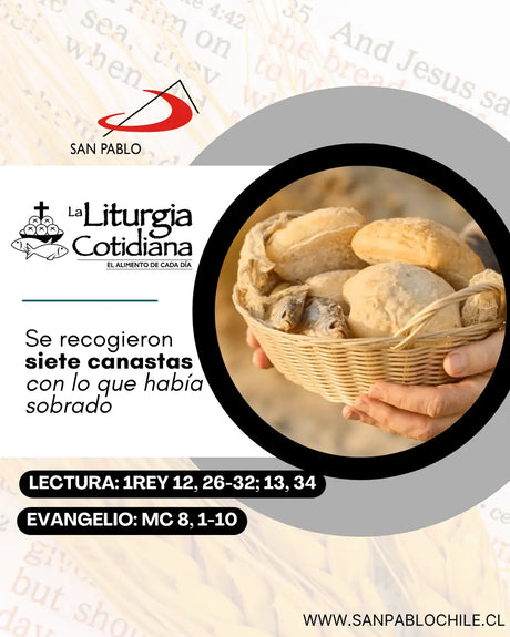 14 de febrero: De la feria. Verde. San Cirilo, mj., y San Metodio, o. (MO).