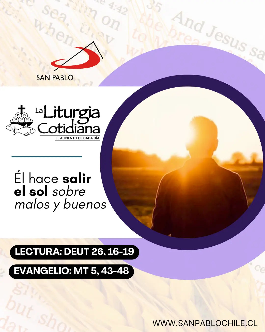 28 de febrero: De la feria. Morado