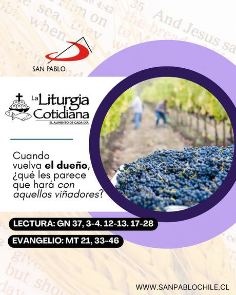6 de marzo: 2º de Cuaresma. Morado