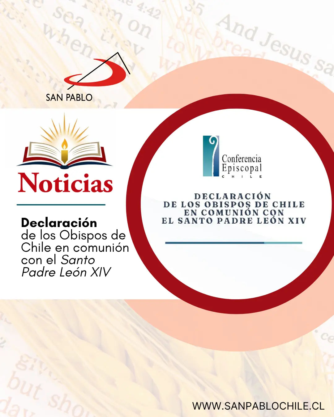 Declaración de los Obispos de Chile en comunión con el Santo Padre León XIV