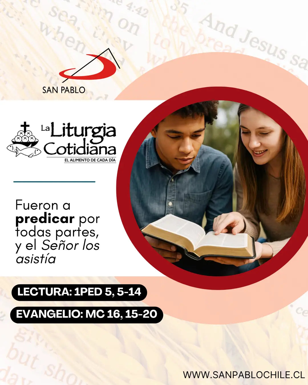 25 de abril: SAN MARCOS, ev. (F) Rojo.