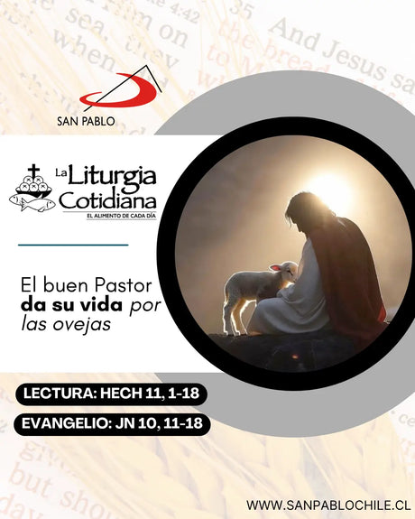 27 de abril: De la feria. Blanco.