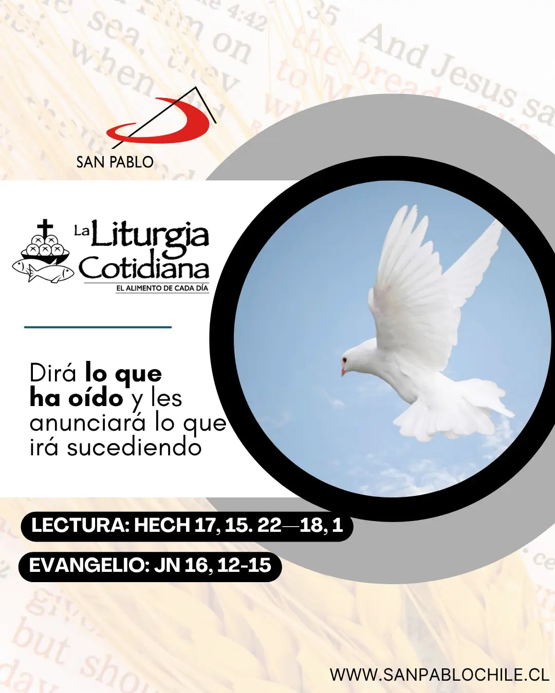 13 de mayo: De la feria. Blanco. Nuestra Señora de Fátima (ML). Blanco.