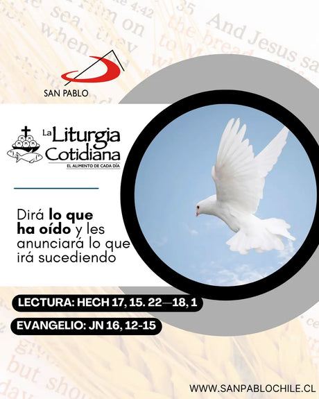 13 de mayo: De la feria. Blanco. Nuestra Señora de Fátima (ML). Blanco.