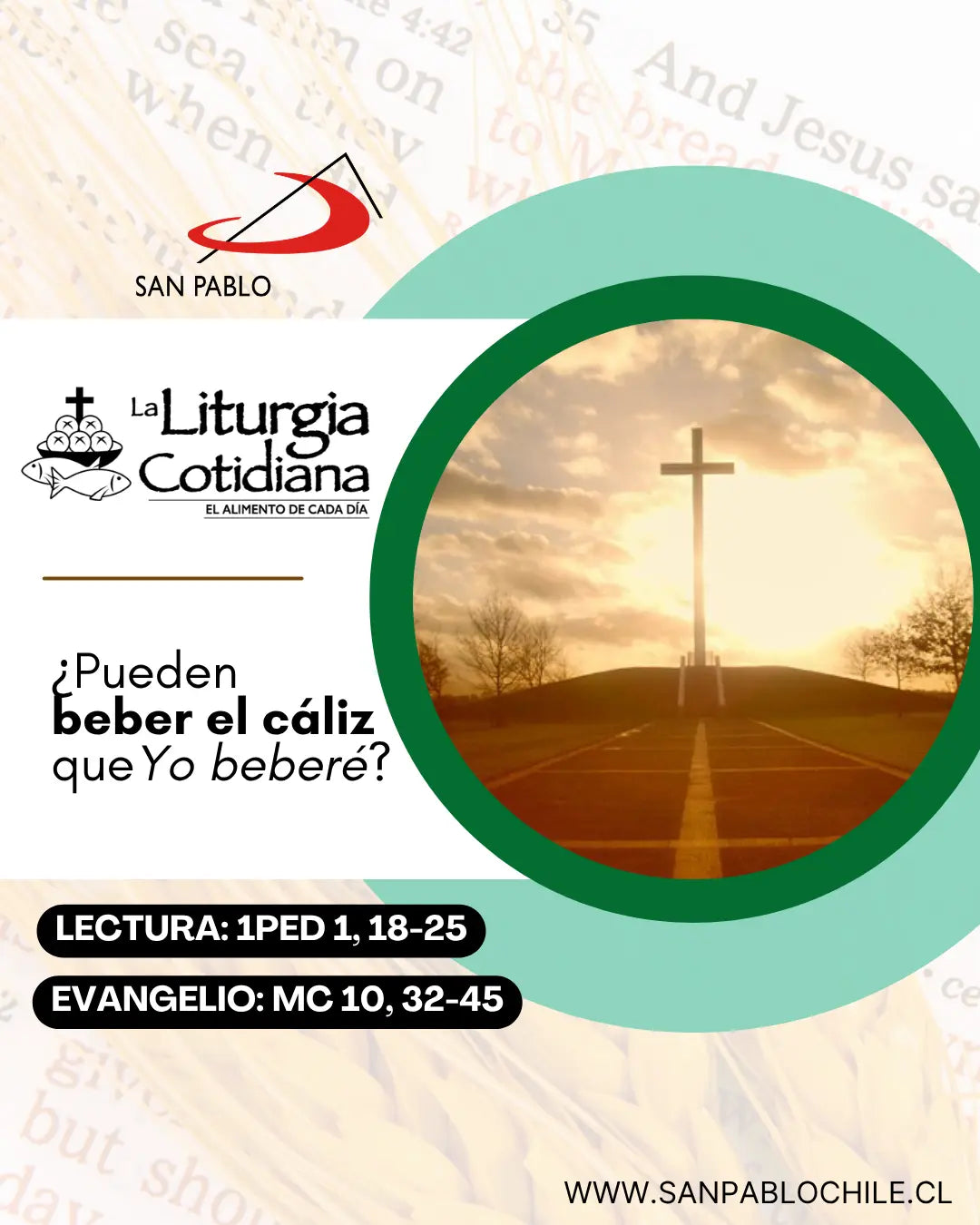 27 de mayo: De la feria. Verde. San Agustín de Cantorbery, o. (ML). Blanco.