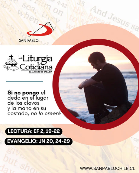 3 de julio: SANTO TOMÁS, ap. (F). Rojo.