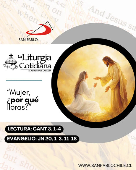 22 de julio: SANTA MARÍA MAGDALENA (F). Blanco.