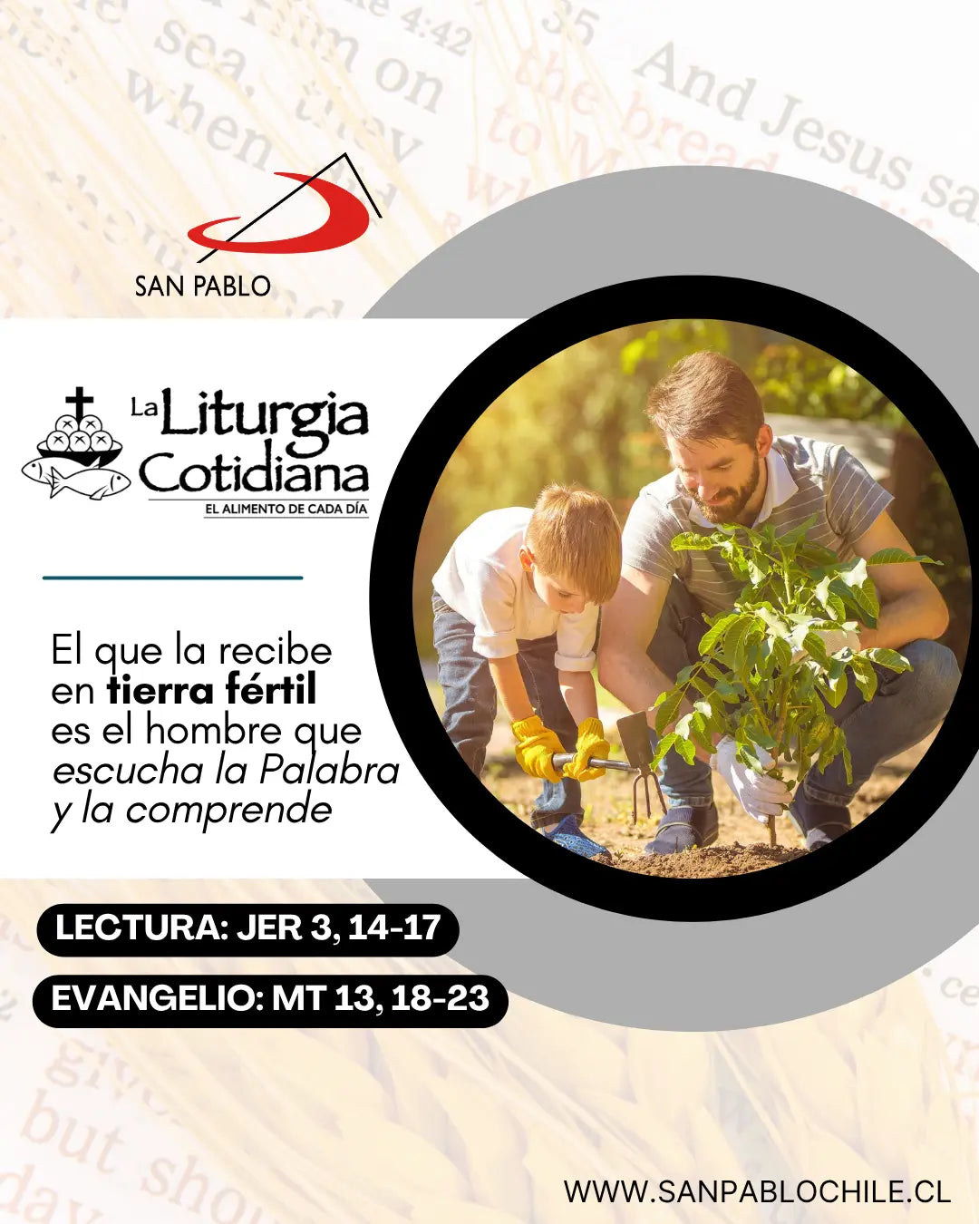 24 de julio: De la feria. Verde. San Charbel Makhlüf, p. (ML). Blanco.