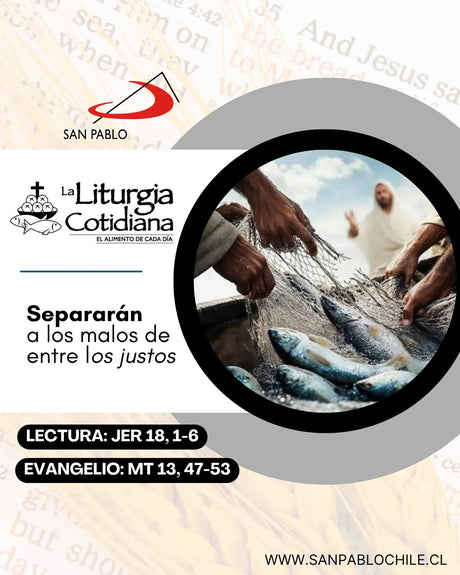 30 de julio: De la feria. Verde. San Pedro Crisólogo, o. y d. (ML). Blanco.