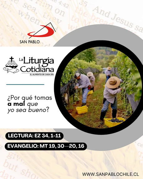 19 de agosto: De la feria. Verde. San Juan Eudes, p. (ML). Blanco.