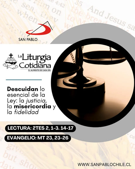 25 de agosto: De la feria. Verde. San Luis (ML). Blanco. San José de Calasanz, p. (ML). Blanco.