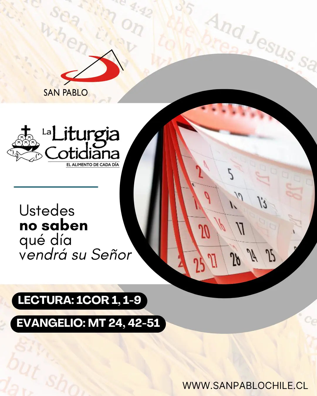 27 de agosto: Santa Mónica (MO). Blanco.