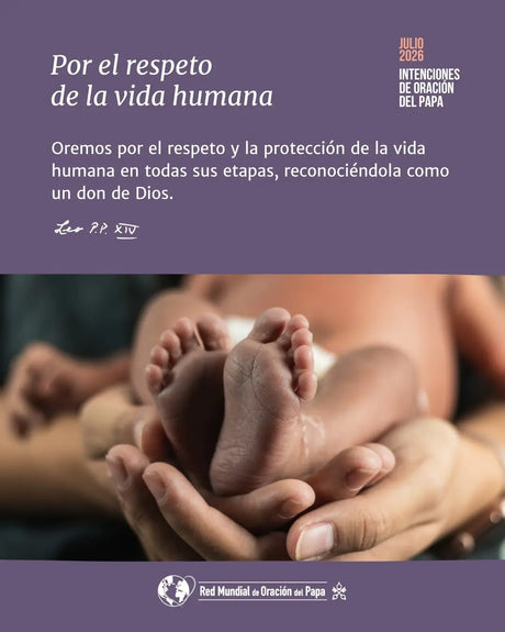 “Por el respeto de la vida humana”, la intención de oración del Papa León XIV en julio