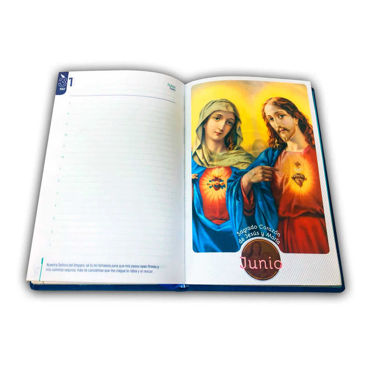 Agenda Protección 2025 – eterna