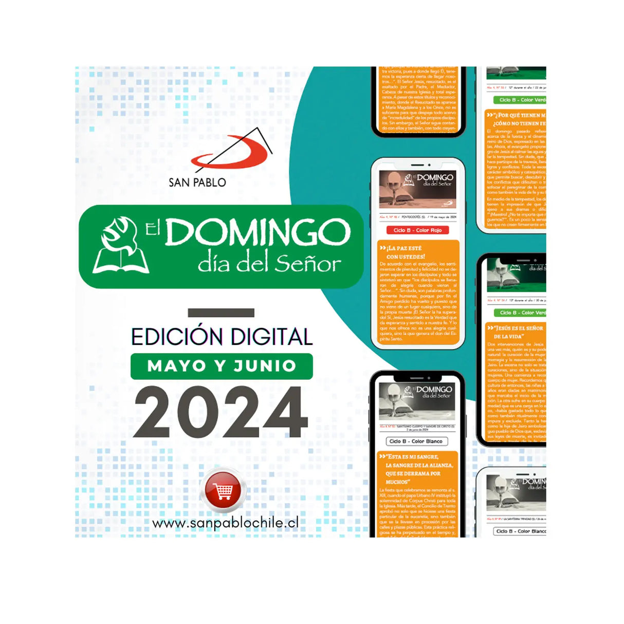 Sunday DIGITAL EDITION: MAY/JUNE 2024
