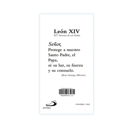 Postal LEON XIV -1