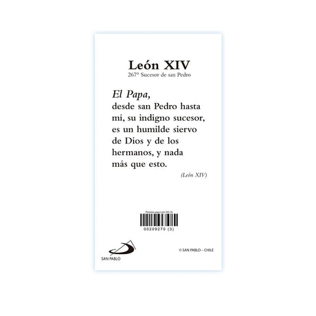 Postal LEON XIV -3
