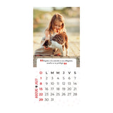 Calendario Mascotas 2027