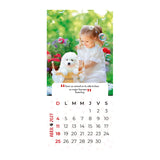 Calendario Mascotas 2027