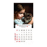 Calendario Mascotas 2027