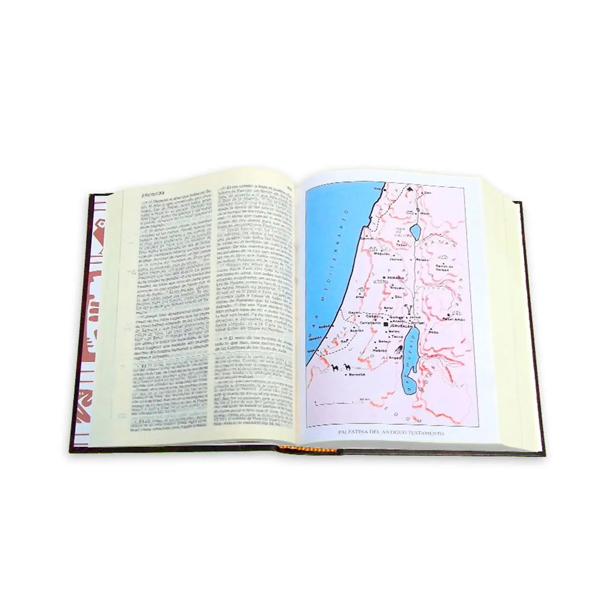 The Latin American Bible – Large Print without a Nail