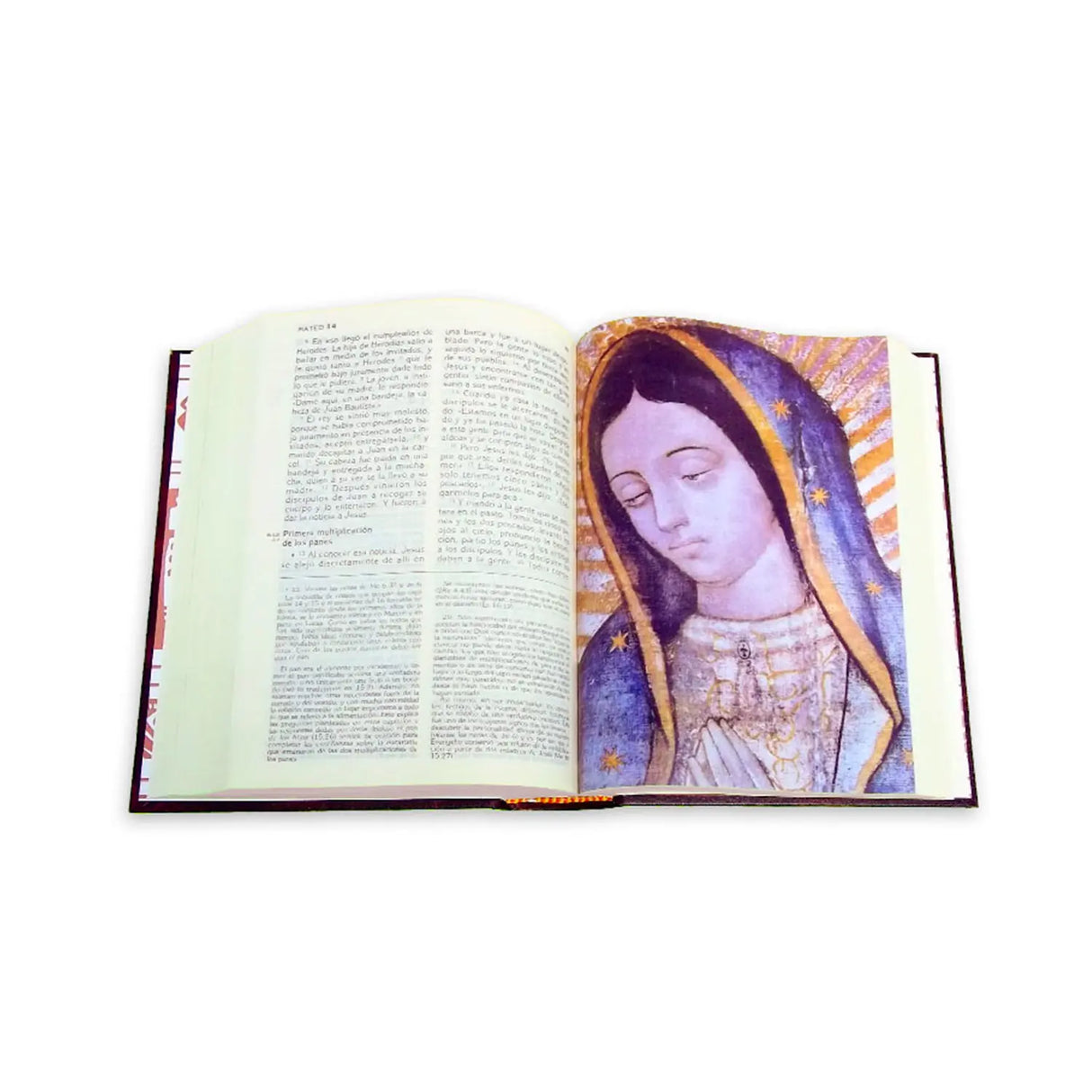 The Latin American Bible – Large Print without a Nail