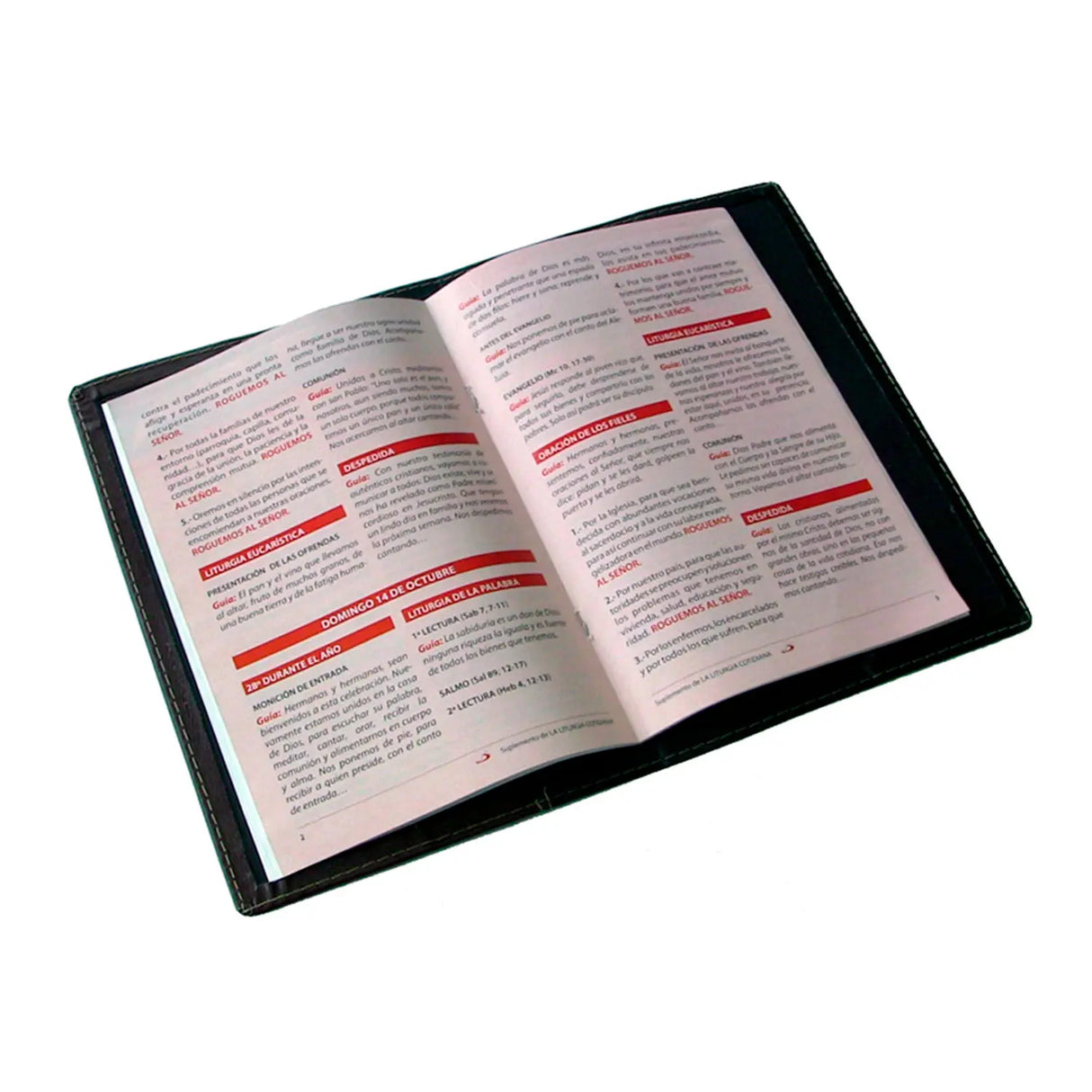 Forro eco cuero Liturgia Cotidiana