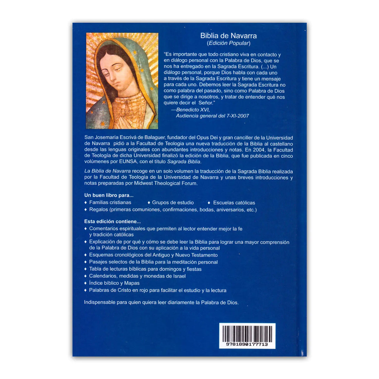 Biblia de Navarra