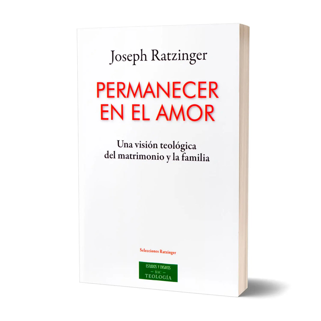 Permanecer en el amor. Una visión teológica del matrimonio y la familia
