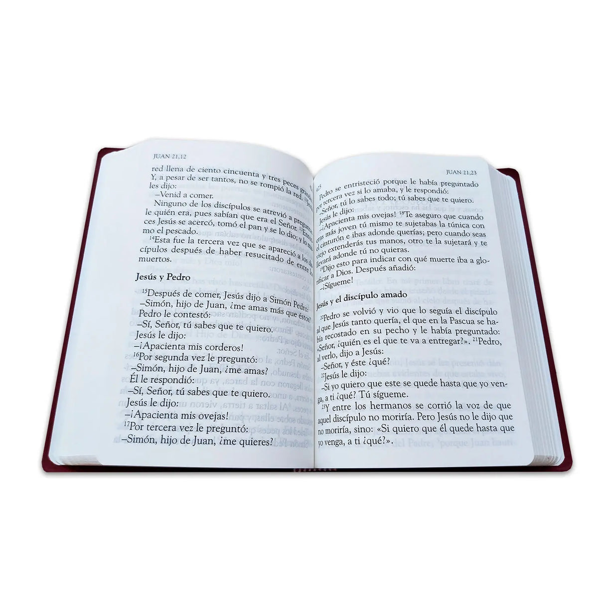 Nuevo Testamento - Letra Grande - Tapa Plastica
