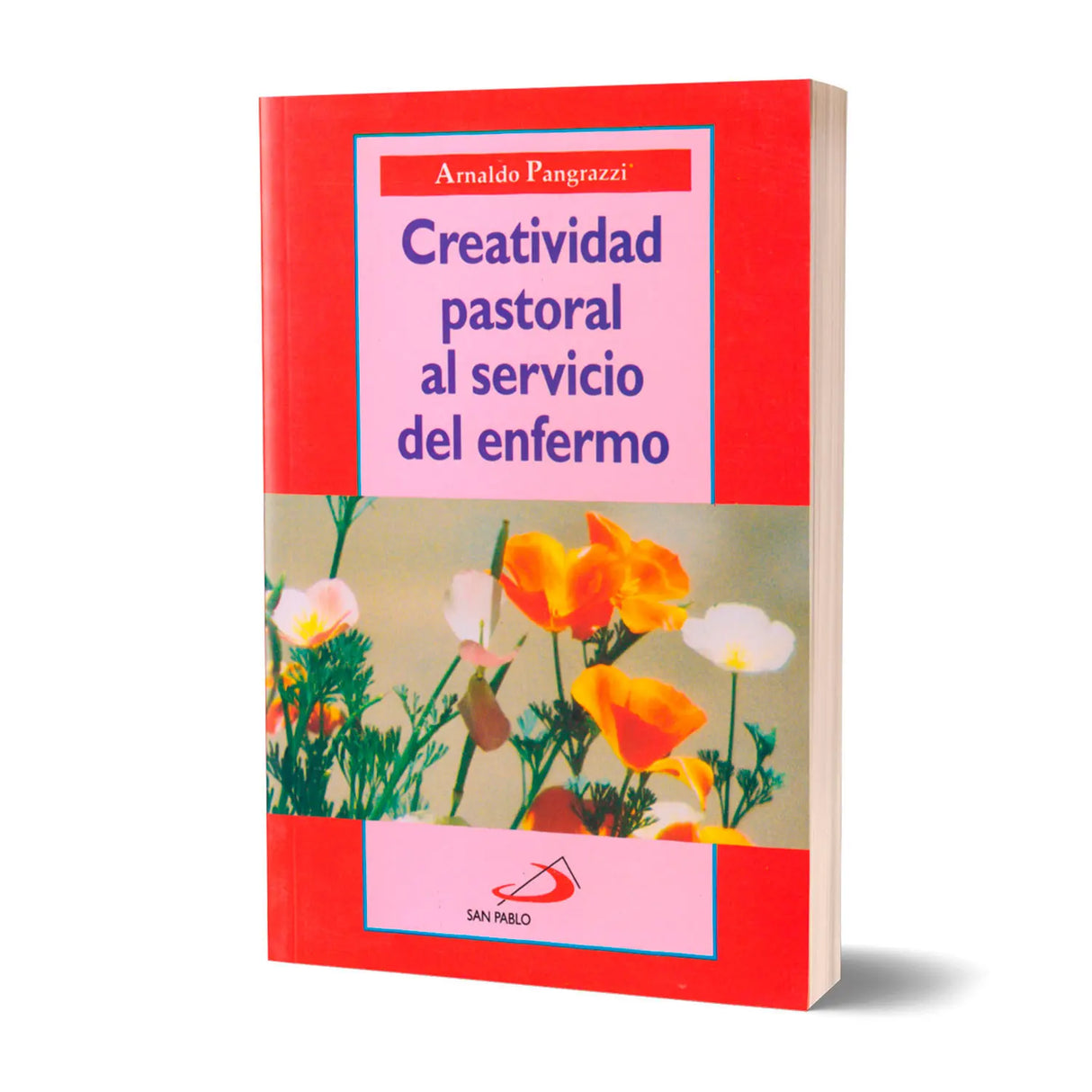 Creatividad pastoral al servicio del enfermo
