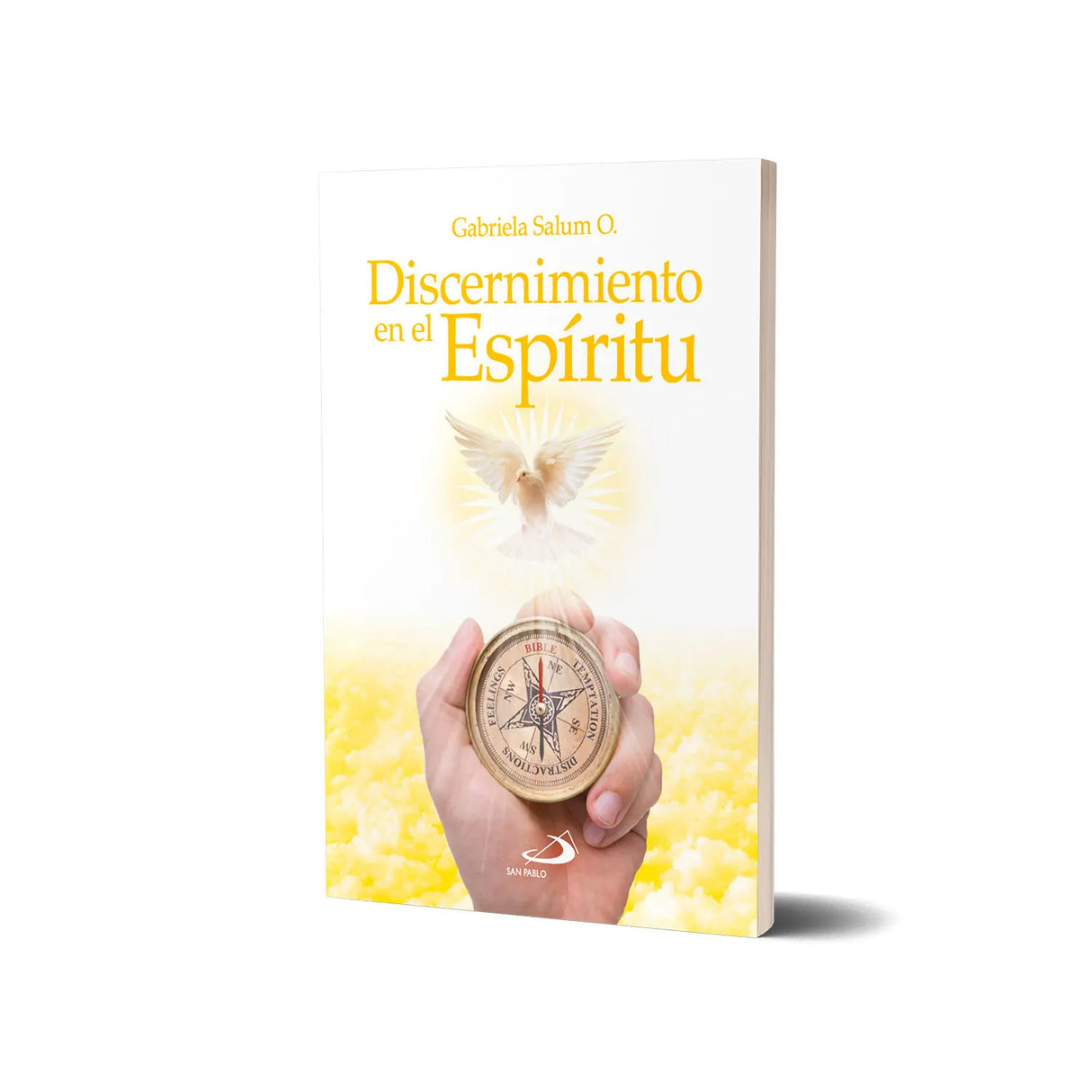 Discernimiento en el Espíritu