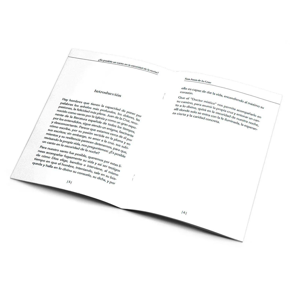 San Juan de la Cruz ¿Es posible un canto en la oscuridad de la noche?