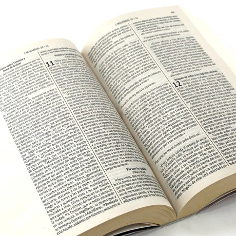 Biblia - La Palabra de Dios - Emaús