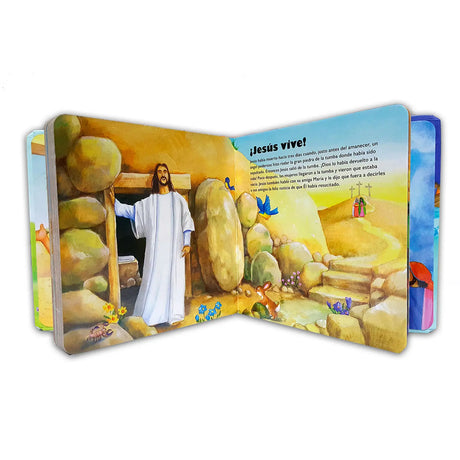 My Jesus Bible