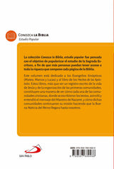 Evangelios Sinópticos y Hechos de los Apóstoles