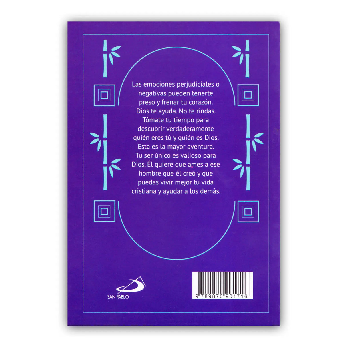 To Live Better – Guide for the Christian Man