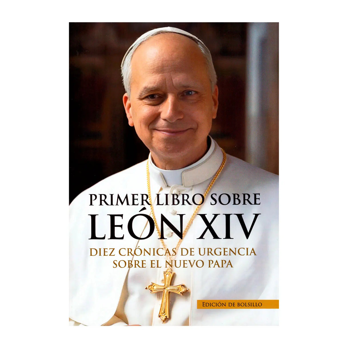 PRIMER LIBRO SOBRE LEON XIV